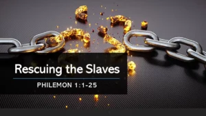 Rescuing the Slaves