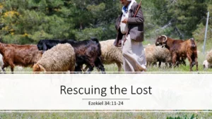 Rescuing the Lost