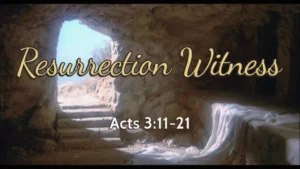 Resurrection Witness